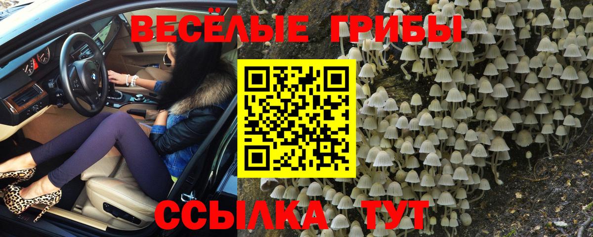 Псилоцибиновые грибы ЛСД  Вход с VPN  где купить наркоту  Мурманск 
