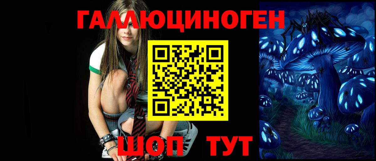 Псилоцибиновые грибы GOLDEN TEACHER Мурманск